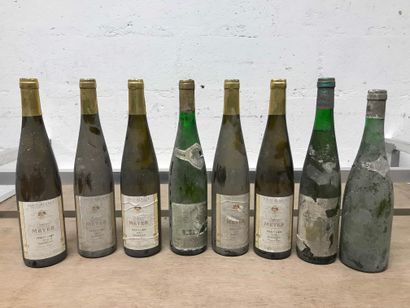 null Huit bouteilles vins d’Alsace divers: PINOT GRIS, KIEFFER, MEYER... (sales,...