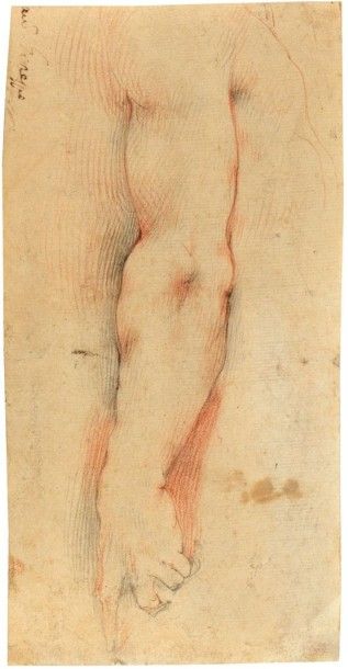 Giuseppe CESARE, dit le cavalier d'ARPIN (1568 1640) Étude de bras allongé, index...