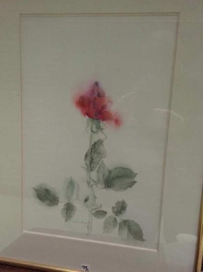 Janine JANET (1913-2000) Fleurs Aquarelle signée au centre 48x32cm