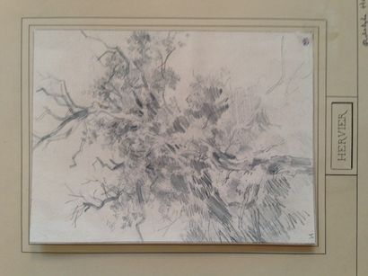 Adolphe HERVIER (1828-1879) Etude d'arbre

Crayon sur papier

Monogramé en bas à...