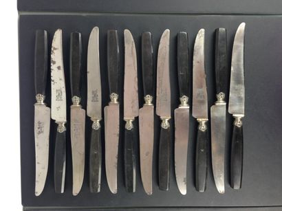 null Ensemble de couteaux manche ébène, comprenant 10 grands couteaux, 12 couteaux...