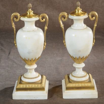 null Paire de vases Louis XVI en marbre blanc à monture en bronze doré. Ils sont...