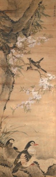 CHINE - XIXe siècle 
Encre et couleurs sur papier, représentant un couple de canards...