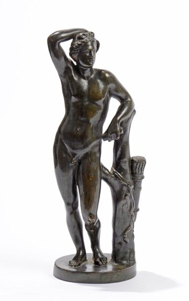 null 263 D’après l’antique Apollino Epreuve en bronze à patine médaille. Italie,...