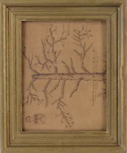 null G60 Lithographie Arbre généalogique de la maison de Lestre (acc)