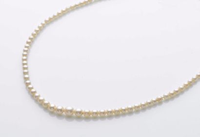 null 95 Collier de perles de culture en chute, le fermoir en or jaune 18 ct (750...