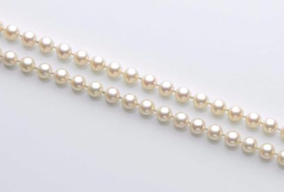 null 96 Long collier choker de perles de culture. Longueur : 88 cm - Diamètre : 7...