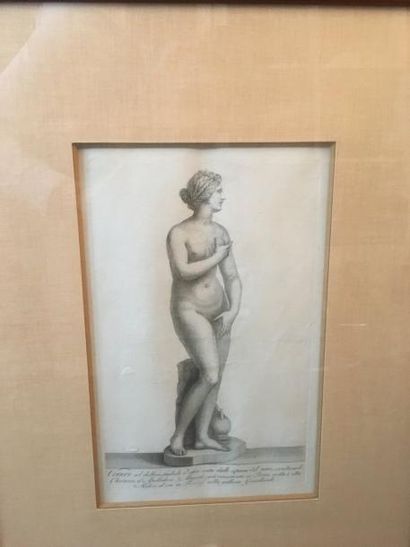 null Suite de trois gravures - Venus