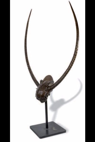 null 366: Grandes cornes. Sculpture en bronze à patine brune représentant un crâne...