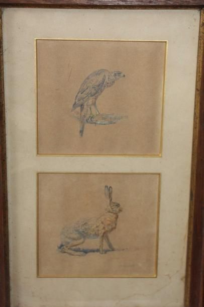 null Edouard Paul MERITE (1867-1941) Etude d'aigle, de lièvre Etude de loutre et...