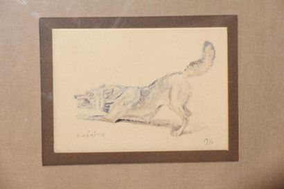 null Edouard Paul MERITE (1867-1941) Etude de Chien Aquarelle signée 9.5x13.5cm