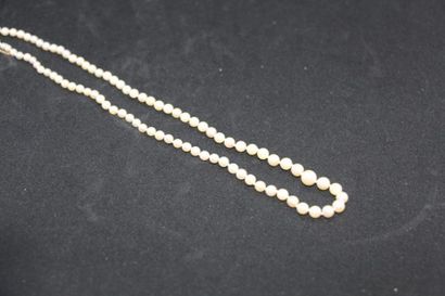 null Collier de perles de culture, le fermoir en or (750 millièmes). Poids : 14,8...
