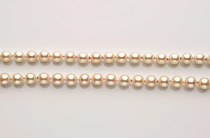 null 51 Collier de perles de culture en choker, montées sur fil, fermoir cylindrique...