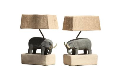 null Deux lampes éléphant
Carton
58cm
46cm
20cm

