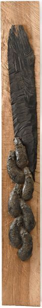 null LA VARANDE Marie (XXe-XXIe siècle) Sept hippopotames Bronze sur bois. Hauteur...