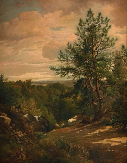 Jules ANDRE (1807-1859) Paysage aux rochers
Huile sur toile, signée en bas à gauche.
57...