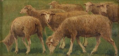 Édouard PAÏL (1851-1916) Troupeaux de moutons
Huile sur carton, signée en bas à droite.
36...