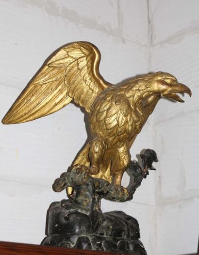 null Aigle aux ailes éployées en bois doré. XIXème siècle
