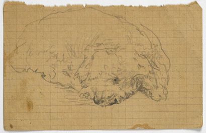 Paul CHMAROFF (1874-1950) 
Etudes de chiens 3 dessins au crayon, annotations sur...