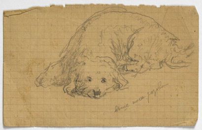 Paul CHMAROFF (1874-1950) 
Etudes de chiens 3 dessins au crayon, annotations sur...