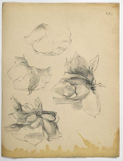Paul CHMAROFF (1874-1950) 
Etude de fleurs
Crayon sur papier , monogramme en bas...