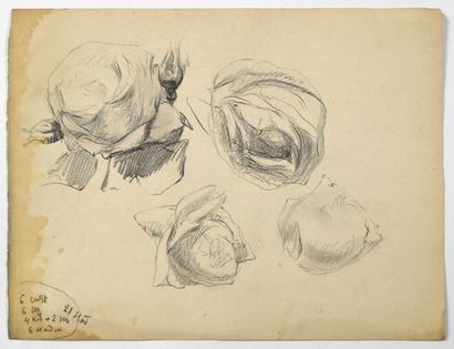 Paul CHMAROFF (1874-1950) 
Etude de fleurs
Fusain sur papier, annotations, mouillure...