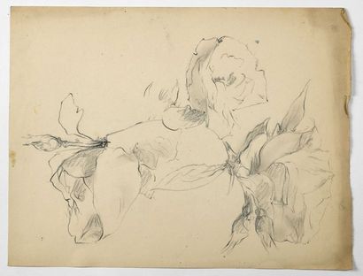Paul CHMAROFF (1874-1950) 
Etude de fleurs
Fusain sur papier, insolation, tache,...
