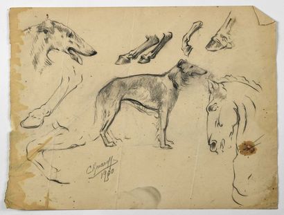 Paul CHMAROFF (1874-1950) 
Etude d'animaux
Fusain sur papier, signé et daté (1950?)...