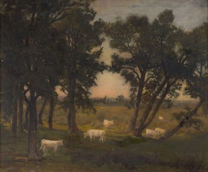 Jean-Paul Louis MARTIN DES AMOIGNES (1850 - 1925) Vaches dans un pré
Huile sur toile...