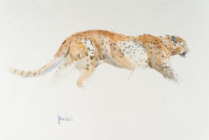SPENCER HODGE (1943) 
Leopard
Watercolour on paper.
Signed lower left.
49 x 73 cm
Antique...