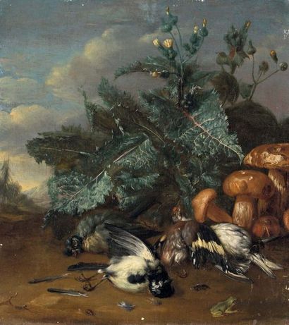 Philipp SAUERLAND (1677-1762) 
Still life with birds, mushrooms and plants in a landscape
Oil...