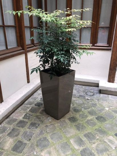 null Two brown plastic garden pots.
H: 76 cm W: 40 cm D: 40 cm.
Work by LECHUZA.