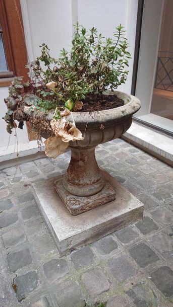 null Large planter on a reconstituted stone base with gadroon decoration.
H : 80...