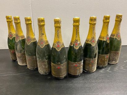 null 9 bouteilles CHAMPAGNE Paul Royer SD (étiquettes abimées et déchirées)
