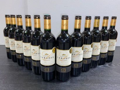 null 12 bouteilles CHÂTEAU LABADIE cru bourgeois – Médoc 2014