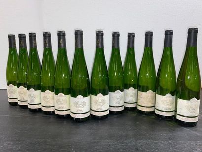 null 12 bouteilles RIESLING Vieilles vignes - Didier Beck 2016 (étiquettes abimé...
