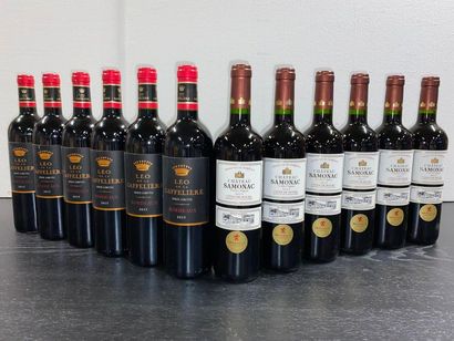 null 12 bouteilles LEO DE LA GAFFELIERE (6 bt)/ CHÂTEAU SAMONAC Vieilles vignes -...
