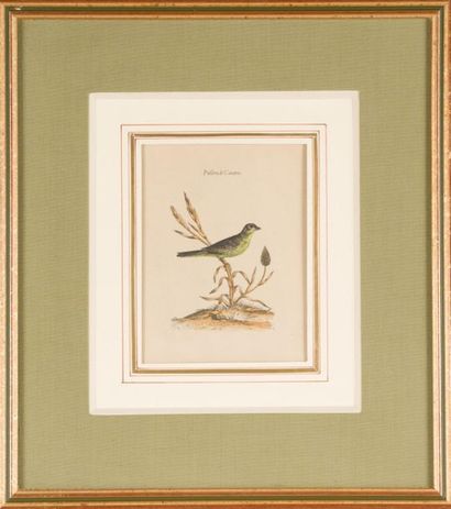 null Deux gravures.
Oiseaux branchés.
14 x 11 cm
