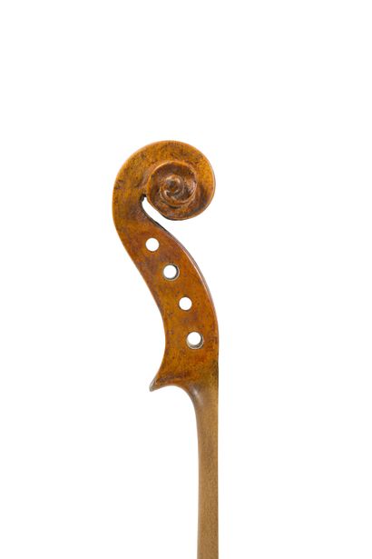 null 
Beautiful Italian violin of the Genoa school, late 19th century. Good condition....