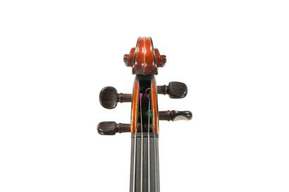 null 
Très beau violon de Gand frères fait à Paris en 1865 dont il porte l'étiquette...