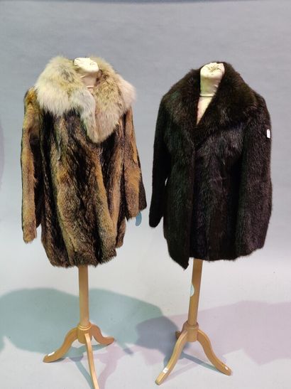null *Riccardo ROZZI and Anonymous

Set of 3 coats and jackets in Lunar Mink, Longhair...