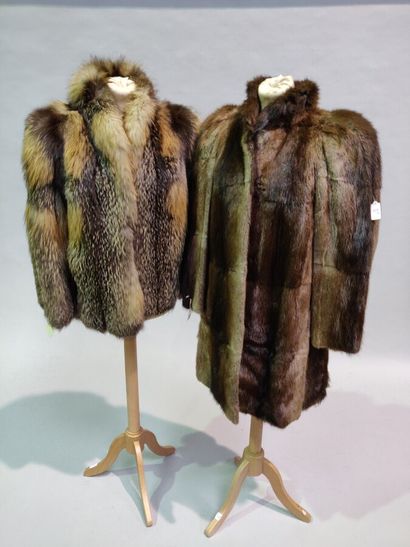 null *Batch made up of 4 coats and jackets in beige Longhair Ragondin, Fox collar,...