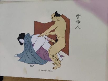 null Two albums of erotic drawings