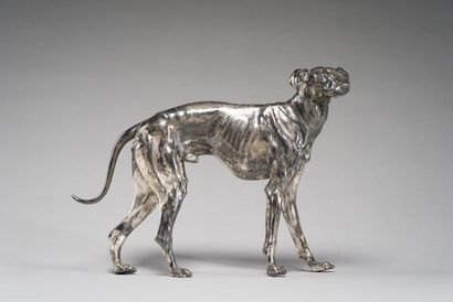 null Greyhound standing

Silver bronze subject.

H: 20 cm; L: 28 cm.

(Slight accident...