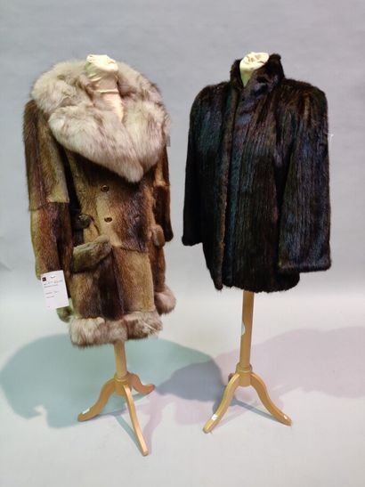 null *Pack of 4 coats and jackets made of American Rat and Blue Fox, Long-haired...