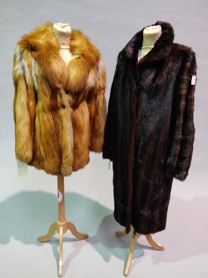 *Pack of 4 including a Canadian Red Fox jacket,...