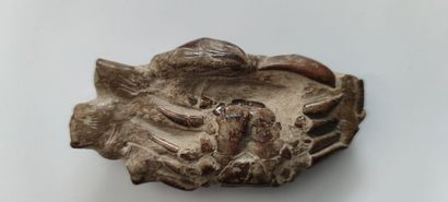null Crabe fossilisé.

L : 10 cm.