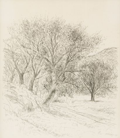 null André DUNOYER DE SEGONZAC (1884-1974)

Chênes de la forêt du Dom - Route près...