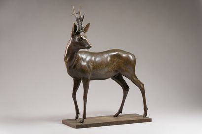 null 236. Modern school

Standing Impala, head turned to the left.

A bronze proof...