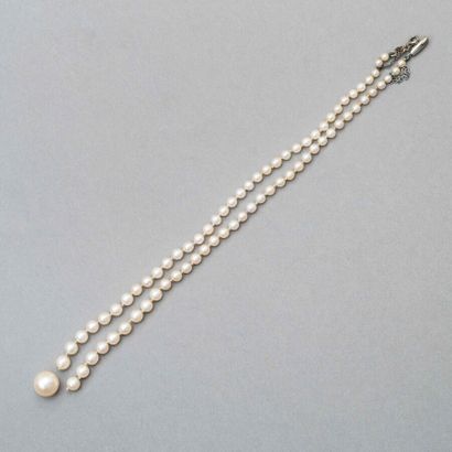 null 144. Small cultured pearl necklace (accidents).